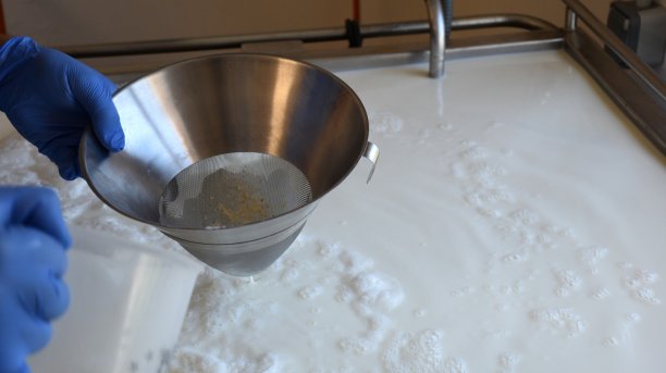 金属过滤器中的天然凝乳酶。图片下载