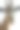 长颈鹿——动物——野生动物——自然图片下载