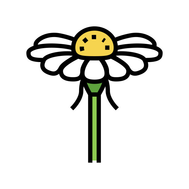 洋甘菊花蕾颜色图标矢量插图图片下载