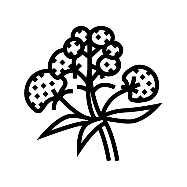 缬草药草线图标矢量插图图片下载