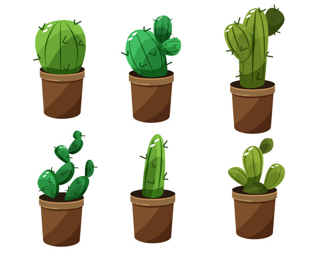 仙人掌资产丰富多彩图片下载