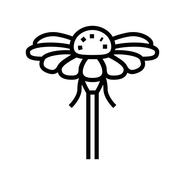 洋甘菊花芽线图标矢量插图图片下载