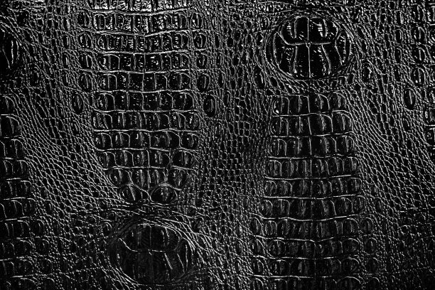 黑白背景和鳄鱼皮纹理。图片下载