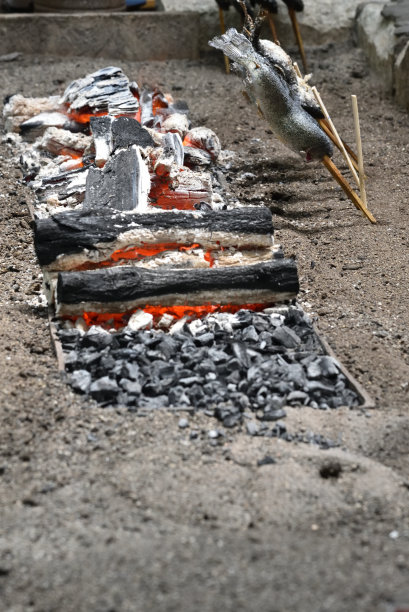 户外午餐烤鱼图片下载