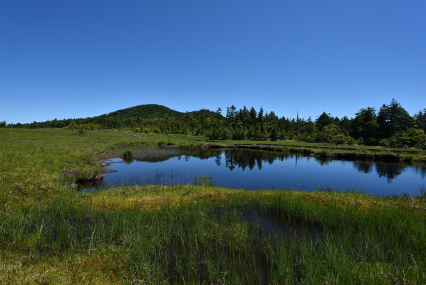 高海拔湿地湖泊多图片下载