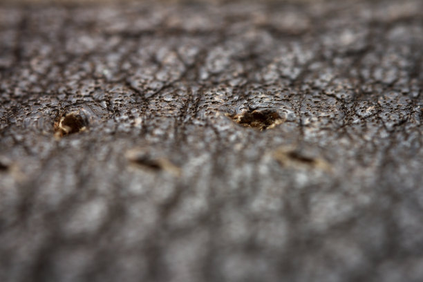 皮革的特写镜头图片下载