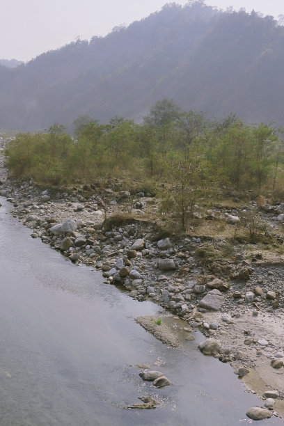 巴拉松河流经印度西孟加拉邦大吉岭地区杜迪亚被森林覆盖的Terai地区图片下载
