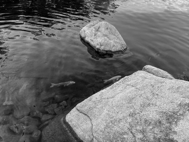 不同形状、颜色和大小的彩色石头的背景图片下载