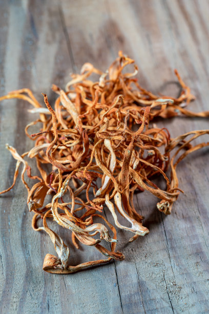 木桌上虫草花真菌图片下载