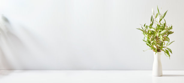 花瓶里有绿叶的树枝和白色桌子上的影子。模拟展示作品图片下载