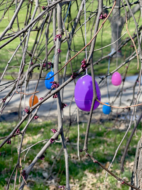 复活节的树图片下载