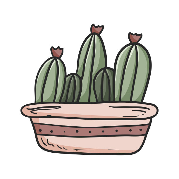 矢量涂鸦说明种植与仙人掌家庭植物设置。图片下载