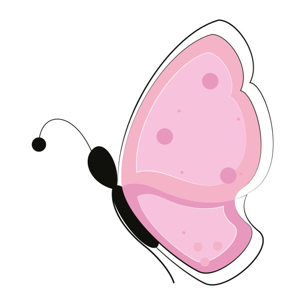 孤立的彩色美丽蝴蝶动物矢量图片下载