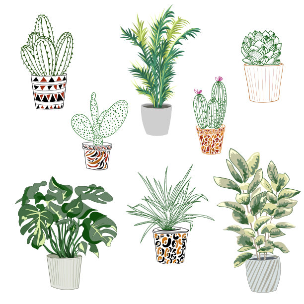 时髦的盆栽植物。不同的室内植物隔离在白色背景上。图片下载