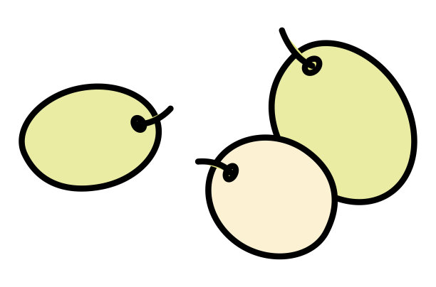 绿色白葡萄浆果卡通风格的插图。用于菜单、农贸市场或设计、烹饪书装饰、酒标、贴纸等。图片下载