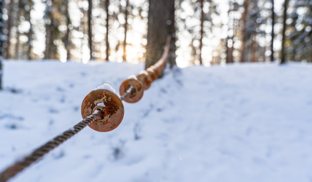 阳光明媚的冬季森林中的户外游乐场元素照片，抽象背景，选择性聚焦图片下载