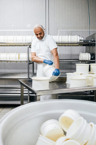 奶酪和奶制品工厂图片下载