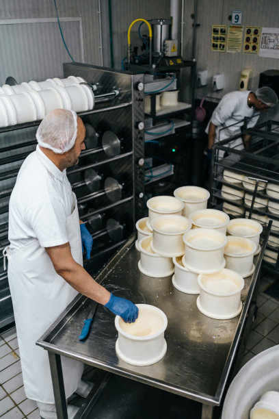 奶酪和奶制品工厂图片下载