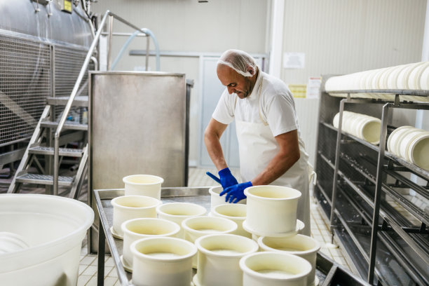 奶酪和奶制品工厂图片下载