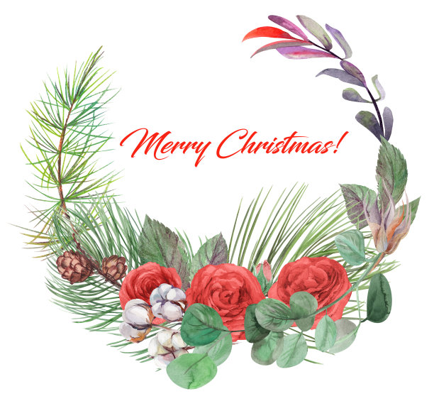 圣诞圆框贺卡画在水彩画红玫瑰图片下载