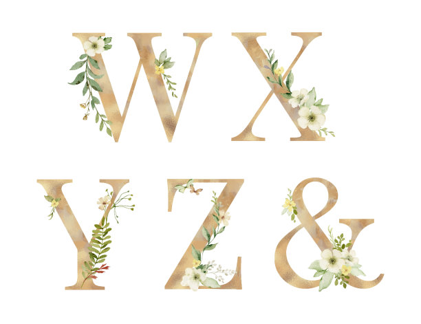 花向量金字母表，字母W, X, Y, Z与水彩花和叶子。首字母组合完美地用于婚礼邀请，生日，贺卡，标志，海报和其他。图片下载