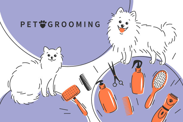 梳理05图片下载