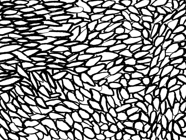 潦草网眼网墨纹理背景。复古的黑白插图网格。涂鸦抽象装饰图案图片下载