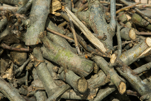 锯过的树枝的背景。生火用的木柴。图片下载