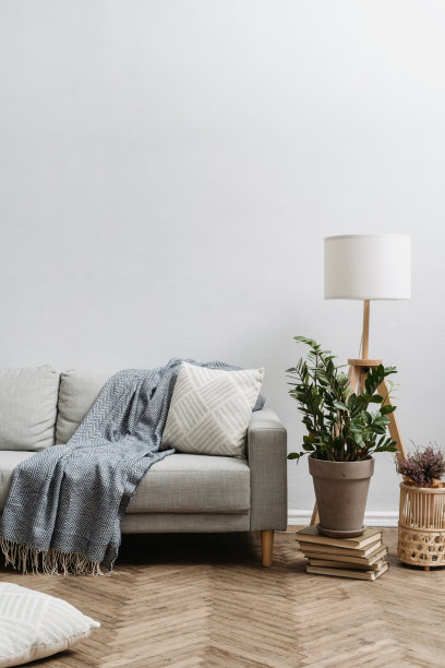 公寓里的复古家具对着白色的复制空间墙图片下载