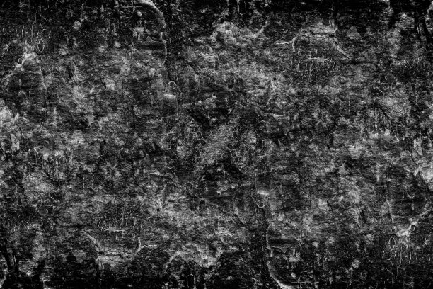 崎岖的表面深色树皮纹理背景图片下载