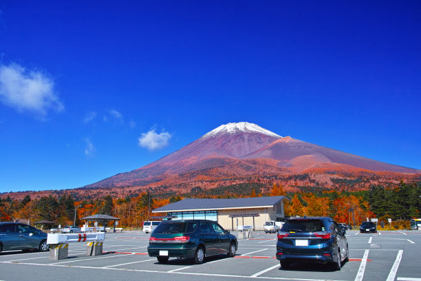 富士山在秋天落叶的季节图片下载