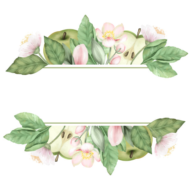手绘的框架盛开的苹果树枝，花和绿色的苹果在白色的背景图片下载