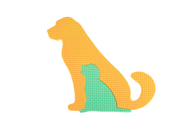 狗和小狗的图像，孤立在白色背景图片下载