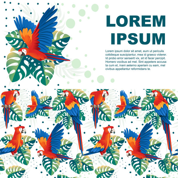 红绿金刚鹦鹉图片下载