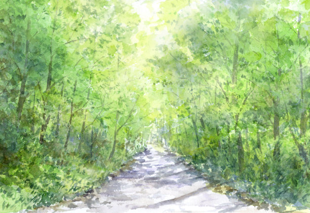 森林中道路景观的水彩插图图片下载