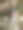 年轻成年妇女在法国贝雷帽的肖像。图片下载