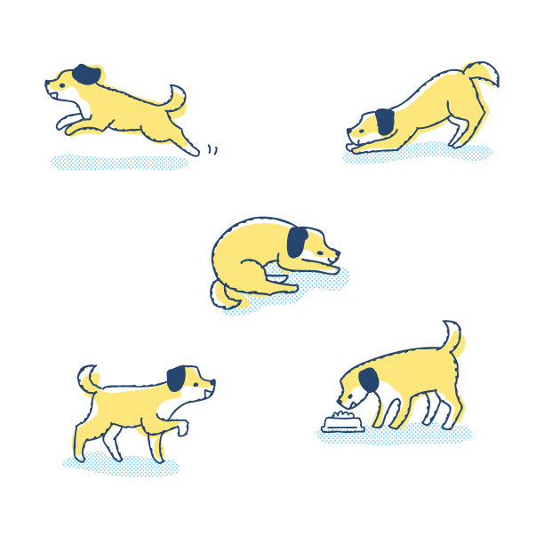 一组不同姿势的狗的变化图片下载