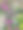 春天的花市春天的鲜花产生五颜六色的花街图片下载