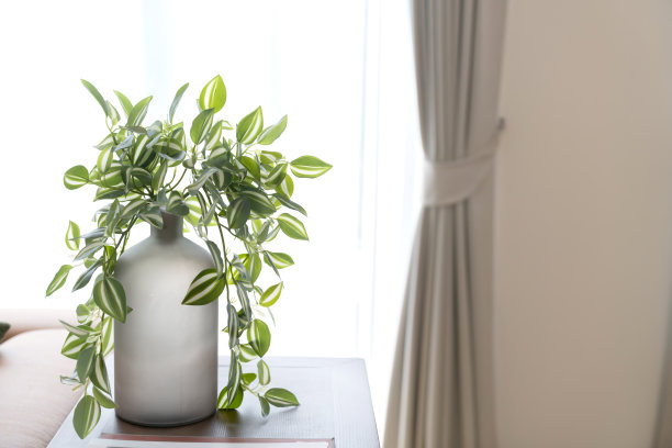 白色陶土花瓶搭配绿色装饰清新树放在餐厅餐桌上，以白色窗帘为背景装饰室内设计理念图片下载