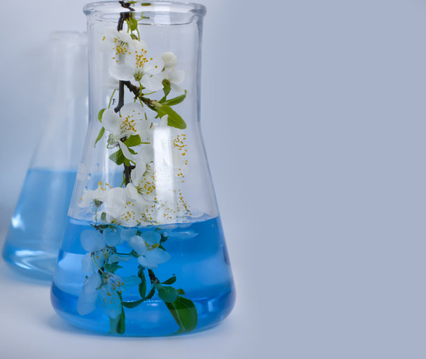 实验室烧瓶，樱花开在明亮的背景上图片下载