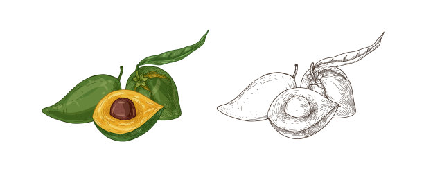 设置彩色和单色绘图lucuma图片下载