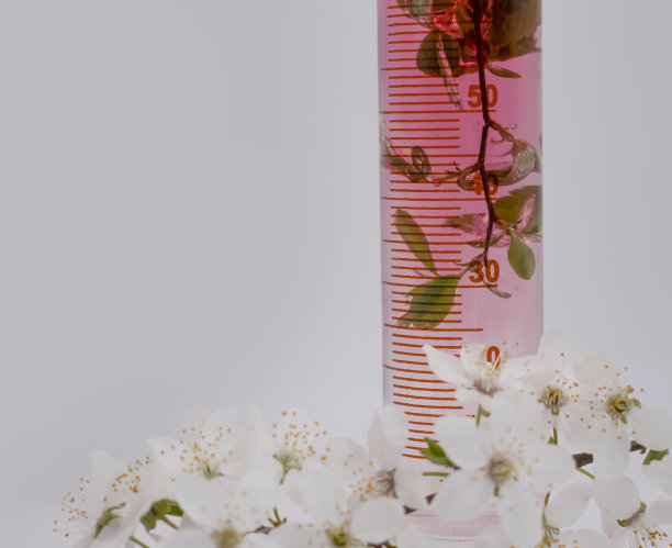 实验室烧瓶，樱花开在明亮的背景上图片下载