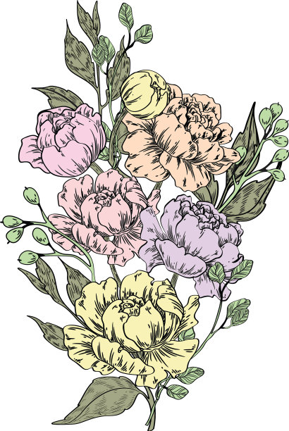 花束牡丹水彩手绘图片下载