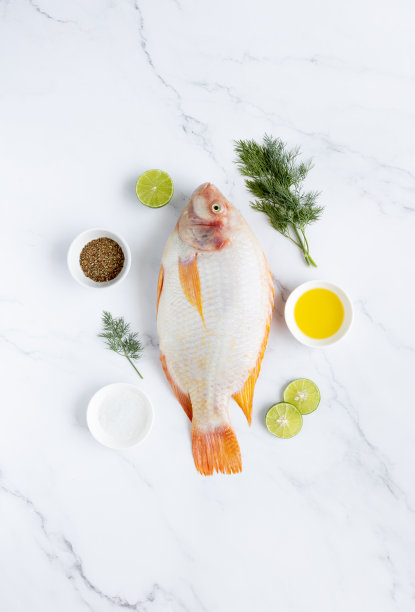红色罗非鱼在大理石背景香料:胡椒，莳萝，石灰，油，复制空间俯视图。高质量的照片图片下载