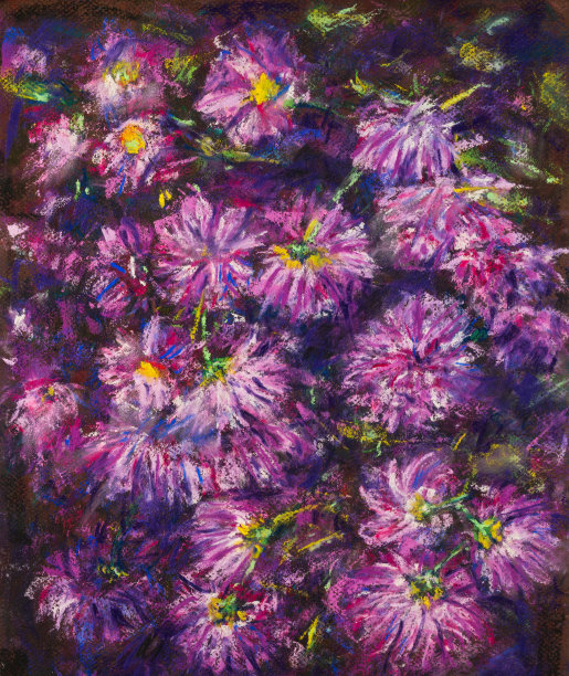 美丽的紫色菊花素描本上的黑色。在纸上画粉彩图片下载