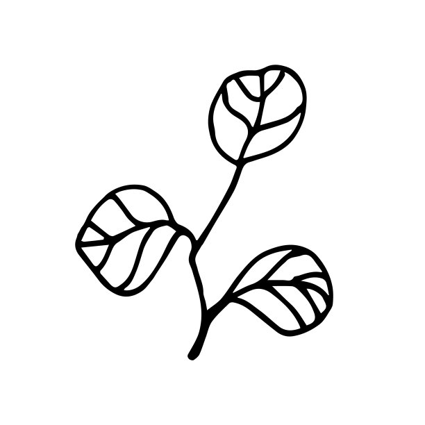 桉树叶涂鸦风格。白色背景上的一棵桉树的插图是孤立的图片下载