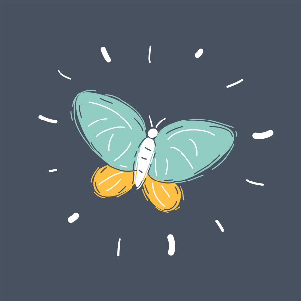 手绘蝴蝶素描图片下载