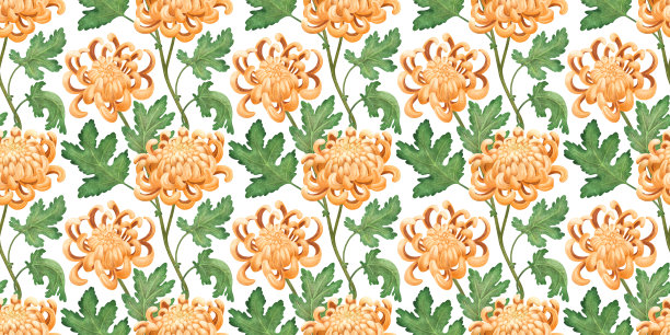 日本菊花无缝图案。图片下载