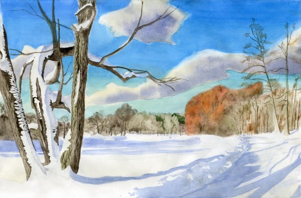 雪中的树图片下载