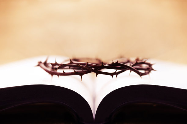 《圣经》和象征耶稣基督受难的荆棘王冠图片下载